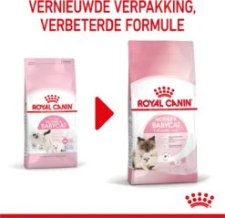 Royal Canin Mother & Babycat - Kattenvoer - 4 Kg -Kattenspeelgoed Winkel 1200x1159 20