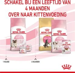 Royal Canin Mother & Babycat - Kattenvoer - 4 Kg -Kattenspeelgoed Winkel 1200x1159 24