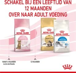 Royal Canin Kitten Sterilised - Kattenvoer - 3,5 Kg -Kattenspeelgoed Winkel 1200x1159 6