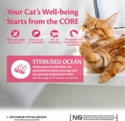 Wellness Core Grain Free Cat Sterilised - Zalm - Kattenvoer - 1.75 Kg -Kattenspeelgoed Winkel 1200x1160 3