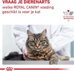 Royal Canin Renal - Kattenvoer - 4 Kg -Kattenspeelgoed Winkel 1200x1161 1