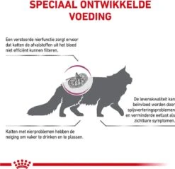 Royal Canin Renal Special - Kattenvoer - 4 Kg -Kattenspeelgoed Winkel 1200x1161 11