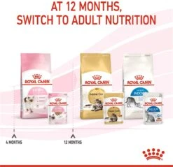 Royal Canin Kitten Loaf - Kitten-Kattenvoer - 12x85 G 6 Royal Canin Kitten Loaf - Kitten-Kattenvoer - 12x85 G -Kattenspeelgoed Winkel 1200x1161 4