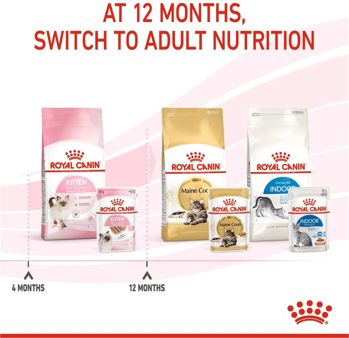 Royal Canin Kitten Loaf - Kitten-Kattenvoer - 12x85 G 4 Royal Canin Kitten Loaf - Kitten-Kattenvoer - 12x85 G - Afbeelding 2