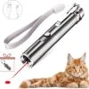 Laserpen - USB - Kattenspeeltjes - Zaklamp - Kat - Laser - Kattenspeelgoed - RVS Opbergblikje -Kattenspeelgoed Winkel 1200x1162 13