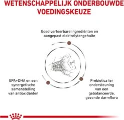 Royal Canin Fibre Response - Kattenvoer - 4 Kg -Kattenspeelgoed Winkel 1200x1162 2