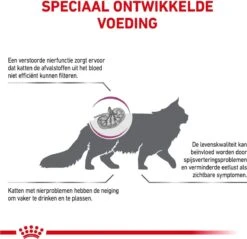 Royal Canin Renal - Kattenvoer - 4 Kg -Kattenspeelgoed Winkel 1200x1162