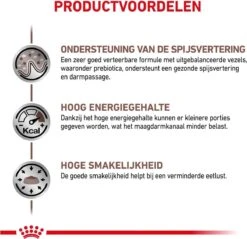 Royal Canin Gastro Intestinal - Kattenvoer - 400 G -Kattenspeelgoed Winkel 1200x1163 2