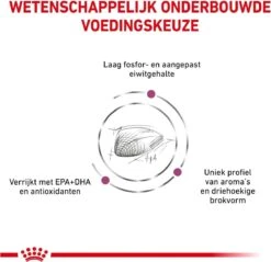 Royal Canin Renal Special - Kattenvoer - 4 Kg -Kattenspeelgoed Winkel 1200x1163 3