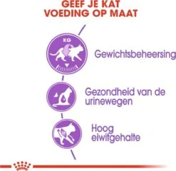 Royal Canin Sterilised 37 - Kattenvoer - 10 Kg -Kattenspeelgoed Winkel 1200x1168 1
