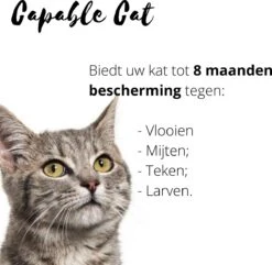 Capable Cat Vlooienband Kat | Vlooien | Luizen | Teken | Mijten | 8 Maanden Bescherming | Katten -Kattenspeelgoed Winkel 1200x1170 1