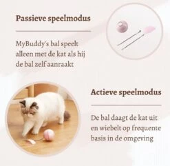 MyBuddy - Interactieve Zelf Rollende Bal - Kattenspeeltjes - Kattenspeelgoed - Bal Voor Katten - LED Lights - Speelgoed - USB - Roze -Kattenspeelgoed Winkel 1200x1171 1