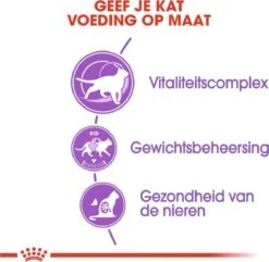 Royal Canin Sterilised 7+ - Kattenvoer - 10 Kg -Kattenspeelgoed Winkel 1200x1172 1