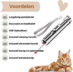 Laserpen - USB - Kattenspeeltjes - Zaklamp - Kat - Laser - Kattenspeelgoed - RVS Opbergblikje -Kattenspeelgoed Winkel 1200x1175 6