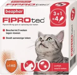 Beaphar Fiprotec Kat - Vlooienbestrijding - >1 Kg - 4 Pipetten -Kattenspeelgoed Winkel 1200x1177 1