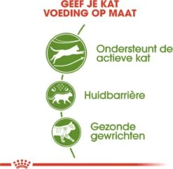 Royal Canin Outdoor - Kattenvoer - 4 Kg -Kattenspeelgoed Winkel 1200x1177 3