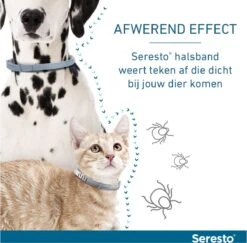 Seresto Teken- En Vlooienband - Anti Tekenmiddel - Kat - 38 Cm 25 Seresto Teken- En Vlooienband - Anti Tekenmiddel - Kat - 38 Cm -Kattenspeelgoed Winkel 1200x1179 1