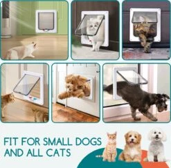 Nobleza Kattenluik Met Tunnel - 4 Vergrendelingsstanden - Weerbestendig - Binnen En Buiten - 20.5 X 19.7 Cm - Maat M - Wit -Kattenspeelgoed Winkel 1200x1179 7