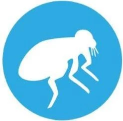 Bayer Bolfo Gold 40 Anti Vlooienmiddel - Kat - 0 Tot 4 Kg - 4 Pipetten -Kattenspeelgoed Winkel 1200x1180 5