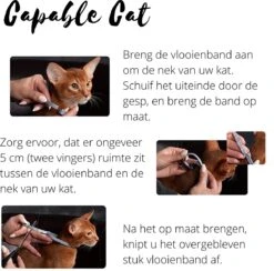 Capable Cat Vlooienband Kat | Vlooien | Luizen | Teken | Mijten | 8 Maanden Bescherming | Katten -Kattenspeelgoed Winkel 1200x1186