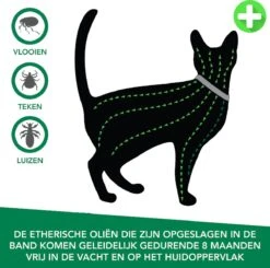 Teken- En Vlooienband Voor Katten PLUS - Natuurlijk Middel Tegen Vlooien En Teken - 100% Natuurlijk - 38,5 CM - Tot 8 Maand Werkzaam - Biologisch -Kattenspeelgoed Winkel 1200x1188