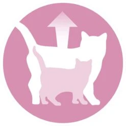 Purina ONE Junior - Kip/Granen - Kattenvoer - 800 G -Kattenspeelgoed Winkel 1200x1198 3