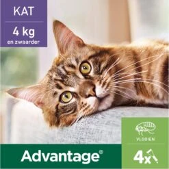 Bayer Anti Vlooienmiddel Advantage 80 > 4 Kg - 4 X 0,8 Ml -Kattenspeelgoed Winkel 1200x1199