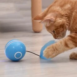 Otiume Elektrische Speelbal - Slimme Interactieve Zelfrollende Bal - Speelgoed Voor Katten - Kattenspeelgoed - Blauw -Kattenspeelgoed Winkel 1200x1200 1035