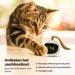 Otiume Slimme Katten Speeltje - Interactieve Zelf Rollende Bal Voor Katten - Kattenspeeltjes -Speelgoed Voor Dieren - USB Oplaadbaar -Kattenspeelgoed Winkel 1200x1200 1037