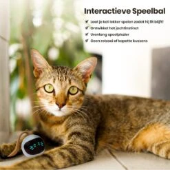 Otiume Interactieve Speelbal - Slimme Interactieve Jaag Speeltje Voor Katten - Kattenspeeltjes - Intelligente Jaagbal - AI -USB Oplaadbaar - LED - Blauw -Kattenspeelgoed Winkel 1200x1200 1046