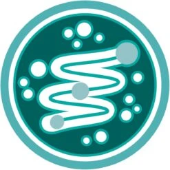 Purina One PURINA® ONE Adult Rijk Aan Kip & Volkoren Granen Brokjes 1,5 Kg -Kattenspeelgoed Winkel 1200x1200 105