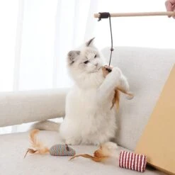 GIZMO Luxe Kattenspeeltjes Set - 7 Speeltjes - Interactieve Kattenhengel, Kattenspeelgoed & Speelmuisjes - Kitten Speeltjes -Kattenspeelgoed Winkel 1200x1200 1056