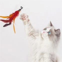 Merkloos Kattenhengel Met 10 Opzetstukjes - Kat Speelhengel Met Veren - Speelgoed Hengel Voor Katten – Kittenspeeltjes Met Veer – Kattenspeelgoed – Katten Speeltjes -Kattenspeelgoed Winkel 1200x1200 1061