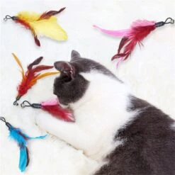 Merkloos Kattenhengel Met 10 Opzetstukjes - Kat Speelhengel Met Veren - Speelgoed Hengel Voor Katten – Kittenspeeltjes Met Veer – Kattenspeelgoed – Katten Speeltjes -Kattenspeelgoed Winkel 1200x1200 1062