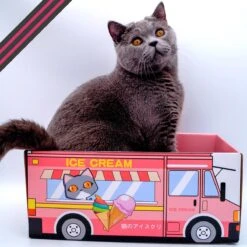Make Me Purr Kattendoos Van Karton (Ice Cream) - Inclusief Kartonnen Krabmat - Speelgoed Doos Voor Katten Met Krab Mat - Kat Krabpaal Speeltje - Kattenbed Kattenmand Kattenhuis Kattentunnel - Kattenspeelgoed - Kattenspeeltjes - Kitten Speeltjes -Kattenspeelgoed Winkel 1200x1200 1073