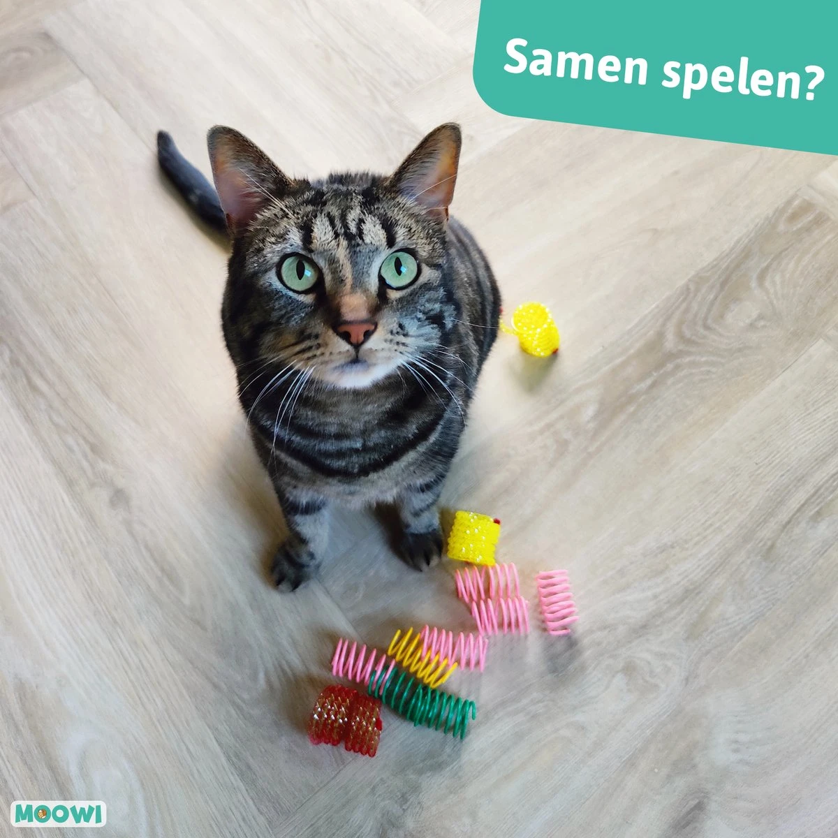 Moowi - Springveren 30 Stuks - Kat - Kattenveertjes - Kattenspeelgoed 6 Moowi - Springveren 30 Stuks - Kat - Kattenveertjes - Kattenspeelgoed - Afbeelding 4