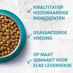 Purina One PURINA® ONE Adult Rijk Aan Kip & Volkoren Granen Brokjes 1,5 Kg -Kattenspeelgoed Winkel 1200x1200 110