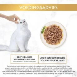Gourmet Gold Malse Lekkernijen – Kattenvoer Natvoer – Met Kip – 24 X 85 Gr 19 Gourmet Gold Malse Lekkernijen – Kattenvoer Natvoer – Met Kip – 24 X 85 Gr -Kattenspeelgoed Winkel 1200x1200 116