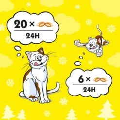 Catisfactions Kattensnoepjes - Kip - 6 X 60g 11 Catisfactions Kattensnoepjes - Kip - 6 X 60g -Kattenspeelgoed Winkel 1200x1200 128