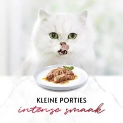 Gourmet Mon Petit Intense - Kattenvoer Natvoer - Vis - 24 X 50 Gr -Kattenspeelgoed Winkel 1200x1200 147