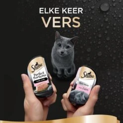 Sheba Perfect Portions Paté Katten Natvoer - Zalm - 48 Stuks -Kattenspeelgoed Winkel 1200x1200 164
