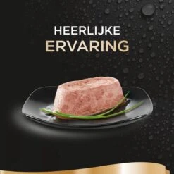 Sheba Perfect Portions Paté Katten Natvoer - Zalm - 48 Stuks -Kattenspeelgoed Winkel 1200x1200 168