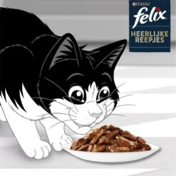 Felix Heerlijke Reepjes Farm Selectie Box - Katten Natvoer - 4 X 12 Zakjes Van 80g 11 Felix Heerlijke Reepjes Farm Selectie Box - Katten Natvoer - 4 X 12 Zakjes Van 80g -Kattenspeelgoed Winkel 1200x1200 169