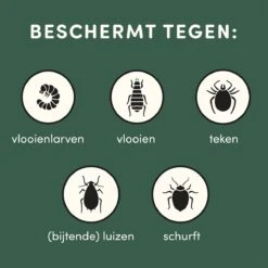 3 Stuks Vlooienband Kat Tekenband - 100% Natuurlijk Veilig En Waterbestendig -Kattenspeelgoed Winkel 1200x1200 17