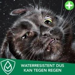 Teken- En Vlooienband Voor Katten PLUS - Natuurlijk Middel Tegen Vlooien En Teken - 100% Natuurlijk - 38,5 CM - Tot 8 Maand Werkzaam - Biologisch -Kattenspeelgoed Winkel 1200x1200 18