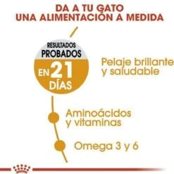 Royal Canin Hair & Skin Care - Kattenvoer - 2 Kg -Kattenspeelgoed Winkel 1200x1200 188