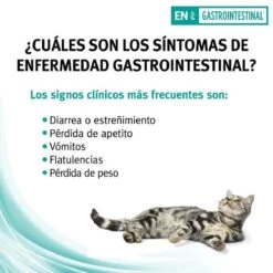 Pro Plan Veterinary Diets Feline Gastro-intestinal - Kattenvoer- 5kg -Kattenspeelgoed Winkel 1200x1200 201