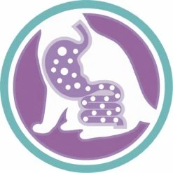 Purina One Sensitive - Kalkoen/Rijst - Kattenvoer - 800 G -Kattenspeelgoed Winkel 1200x1200 212