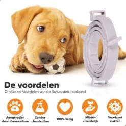 Nafurapets Vlooienband Voor Hond – Anti Vlooien – Teken Band – 100% Natuurlijk – 8 Maanden Bescherming – Grote & Kleine Hond -Kattenspeelgoed Winkel 1200x1200 22