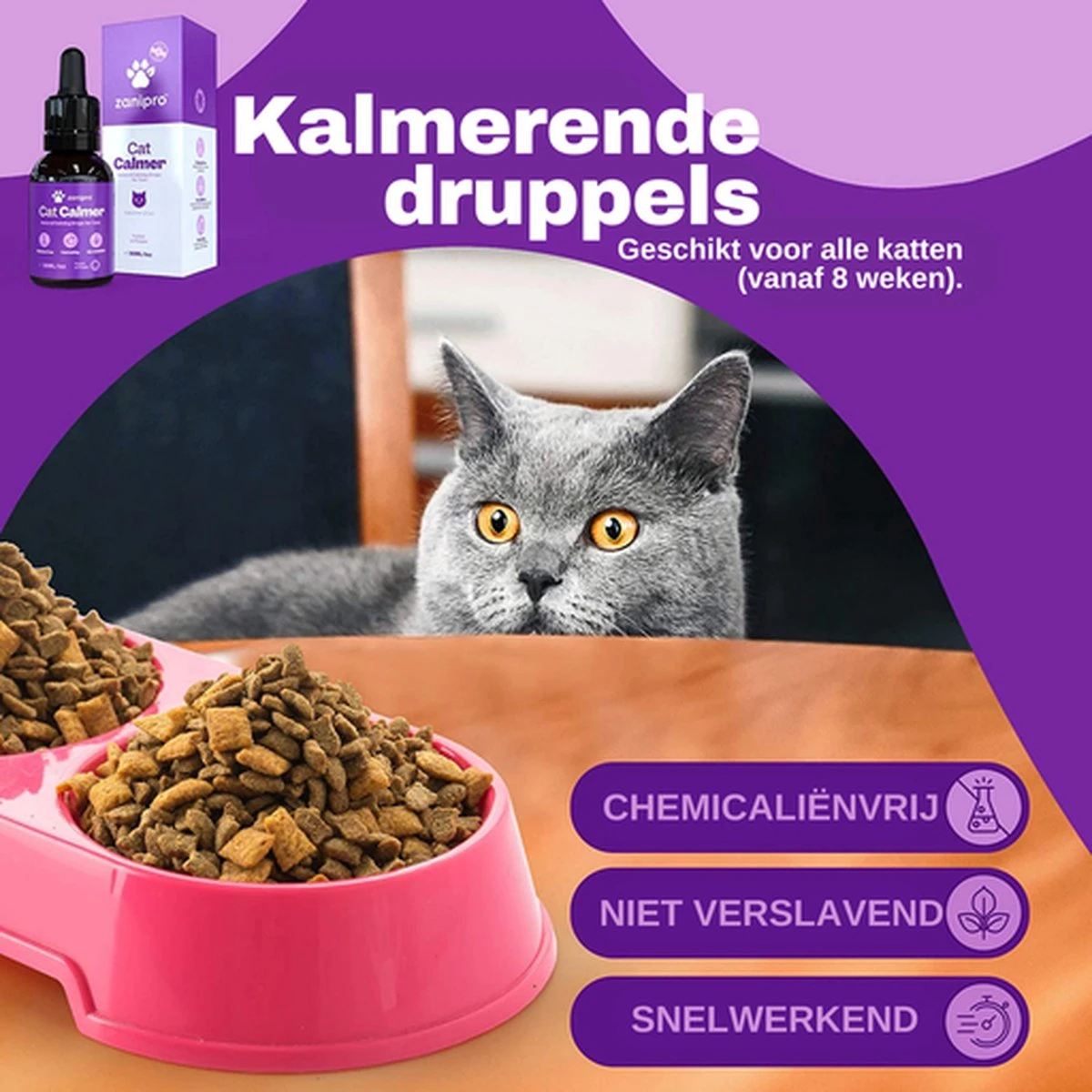 Aerend - Kalmerende Druppels Voor Katten - Anti-stress - Zanipro® 30ml - 100% Natuurlijk Uit Het Verenigd Koninkrijk - Met Ashwagandha & Valeriaan - No Stress Druppels Om Gedragsproblemen Te Verlichten - Voor Thuis En Onderweg 7 Aerend - Kalmerende Druppels Voor Katten - Anti-stress - Zanipro® 30ml - 100% Natuurlijk Uit Het Verenigd Koninkrijk - Met Ashwagandha & Valeriaan - No Stress Druppels Om Gedragsproblemen Te Verlichten - Voor Thuis En Onderweg - Afbeelding 5